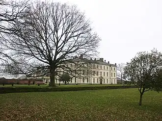 White mansion with leafless tree in foreground
