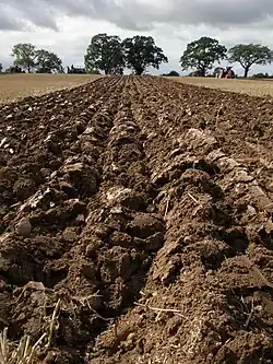 The plough makes distinct furrows across the field.