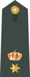 Rank insignia of a Tagmatarchis, 1970–1973