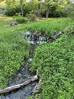 Small waterfall in the rhododendron garden at Finch Arboretum