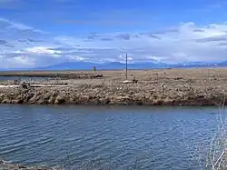 View of nearby wetland