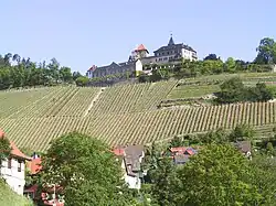 Eberstein Castle with vineyard