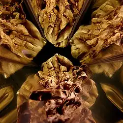 #447 (25/6/2001), Oral view of the same specimen with multiple reflections thereof (see alternative view)