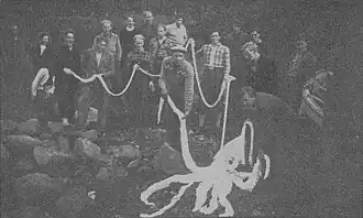 #119 (11/9/1946) Giant squid that washed ashore in Romsdalsfjord, Romsdal, Norway, on 11 September 1946. It measured 9.35&nbsp;m (30.7&nbsp;ft) in total length and was described as being quite fresh and well-preserved.[112]