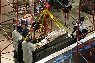 (?/7/2005), Giant squid being removed from its formalin preservative at the Smithsonian's Museum Support Center in Suitland, Maryland, surrounded by workers in full-face elastomeric respirators