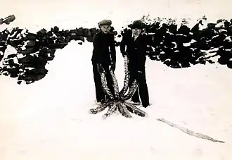 #109 (?/12/1933), Oral view of the Dildo giant squid