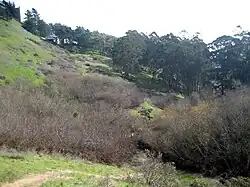 Photograph of a steep slope and the canyon bottom.