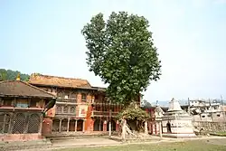 Vishnu Paduka, pilgrim hostels and a shrine overgrown by a fig tree