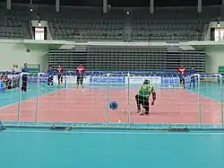 Defending in a penalty situation against Belgium (May 2015)