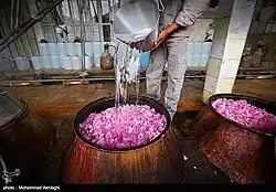 Water being poured into a container of rose petals