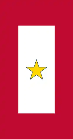 Gold Star Service Banner