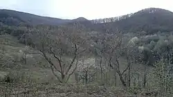 Gornja Pištana panorama