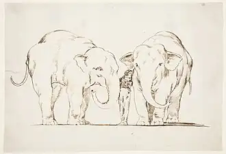 Los elefantes (Disparate de bestia)