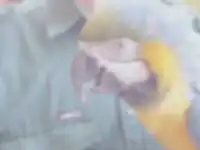 vision with cataract