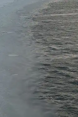 Grease ice in the Bering Sea