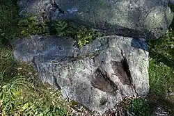 Ilôt Bosquet / Chlasche