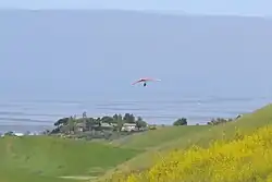 Hang gliding in the park