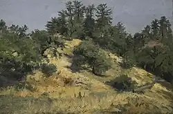 Mendocino Ranch Rock Pile