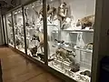 Taxidermy display in 2023