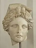 Head of Apollo, Praxiteles Lyceum type (height 30 cm; inv. 55.336; from Rome, Via Giolitti; early 2nd century)[52]