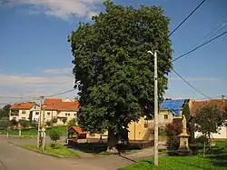 Centre of Heroltice