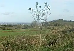 Large univallate hillfort with a bowl barrow and pillow mounds 970&nbsp;m west of The Bungalow