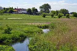 Chornoguzka hydrological reserve on the outskirts of Hirka Polonka