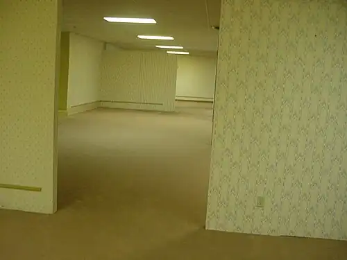 An image of the Backrooms. A large, open room with carpet, fluorescent lights and yellow wallpaper. A gap in the wall shows similar rooms extending without limits.