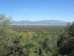 View across the San Rafael Valley towards the Huachuca Mountains.