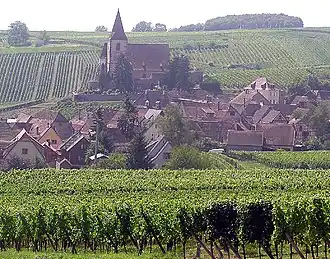 Hunawihr and Alsatian vineyards