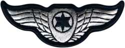 Current badge "wings" of an Israeli Air Force pilot, weapon systems officer, navigator and flight engineer