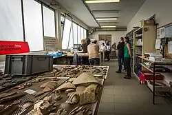 Presentation of artifacts from excavations at Obernai (Bas-Rhin) in 2013.[10]