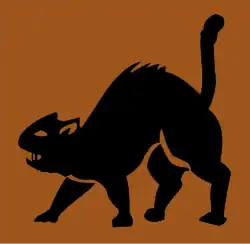 a black cat on an orange background