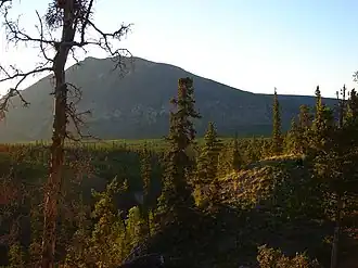 A view of the lush green landscape of the Ibex Valley