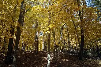 Holy Hill Segment during fall