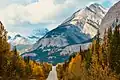 Mount Coleman (left) from Icefields Parkway