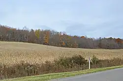 Fields along Ideal Road, northeast of Byesville