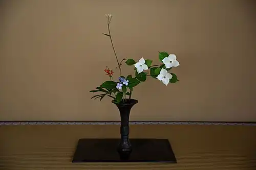 Ikebana Flower Arrangement Japanese Tea Ceremony