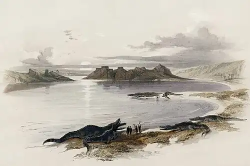 205. Scene on the Nile, near Wady Dabod, with Crocodiles.