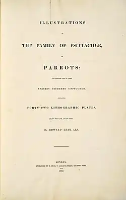 a perched multi-coloured parrot