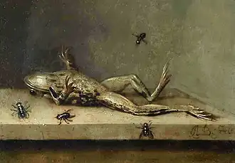 Dead Frog with Flies – 1630 Ambrosius Bosschaert II[10]