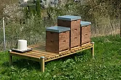 Three thin walled rectangular wooden boxes sitting outdoors in tight formation on a raised platform. The boxes measure about 40 cm × 50 cm (16 in × 20 in) and are 60 cm (24 in) tall with a wall thickness of about 19 mm (0.75 in). A gap at the bottom allows honey bees to enter and exit.