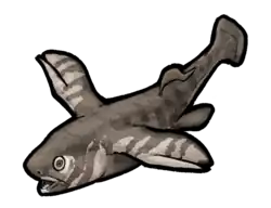 Iniopteryx was a holocephalan that lived in North America. This fish belonged to a group called the Iniopterygiformes, that possibly lived like flying fish.