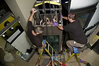 (?/7/2005), Same specimen being lowered into its final position at the Sant Ocean Hall of the National Museum of Natural History (NMNH) in Washington, D.C. Both specimens currently on display at the NMNH were flown from Spain aboard a C-17 Globemaster III as part of "Operation Calamari".