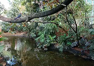 An interior view of one area of the aviary.