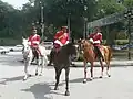Changing of the Guard ceremony at 12'o clock noon.