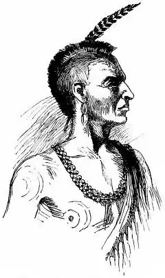 Illustration of a native Virginian