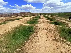 Jarmo, March 2021. Remains of the 1948-1955 excavations conducted by the Oriental Institute of the University of Chicago