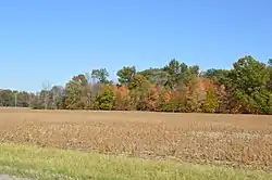Fields south of North Robinson