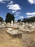 Jewish section of West Terrace Cemetery, Adelaide, 2024